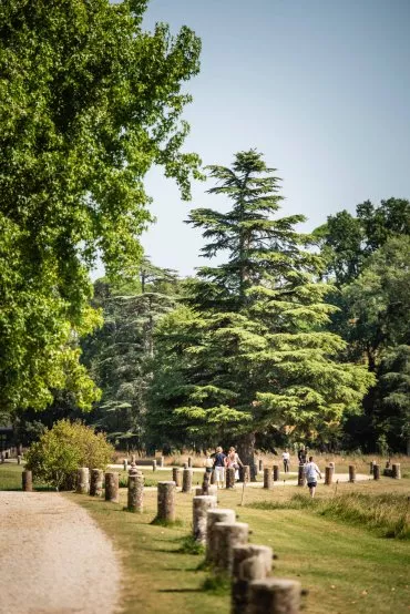 Illustration de Allée principale du domaine traversant le parc à l'anglaise ©Anaka