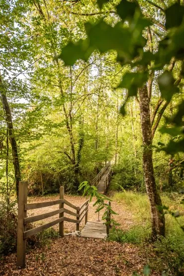 Illustration de Parcours de visite et sentier forestier ©Anaka