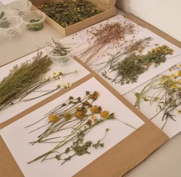 Illustration de Atelier Land Art - réalisation de cartes postales
