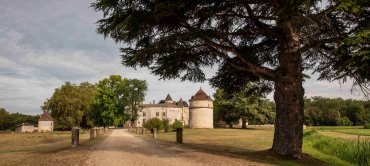 Allée principale du domaine traversant le parc à l'anglaise ©Anaka