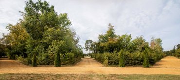 Bosquet ©Anaka