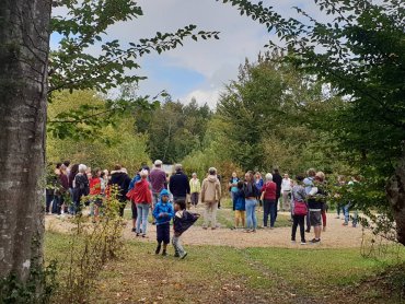 Les Rendez-vous aux jardins 2019 - Le Bosquet