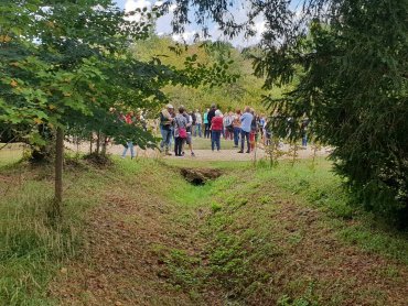 Les Rendez-vous aux jardins 2019 - Le Bosquet