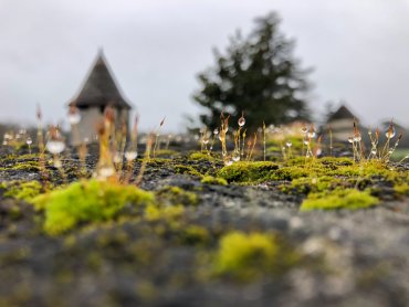 img_0434.jpg