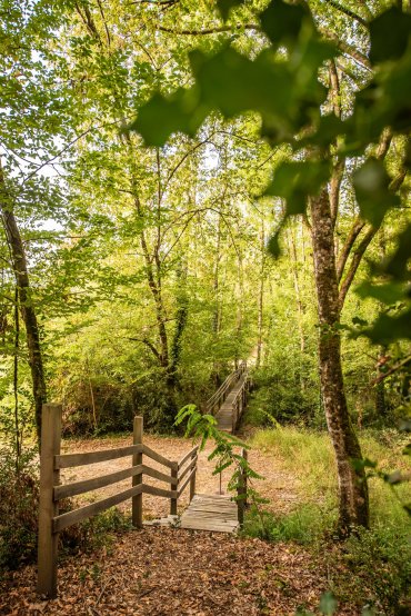Parcours de visite et sentier forestier ©Anaka